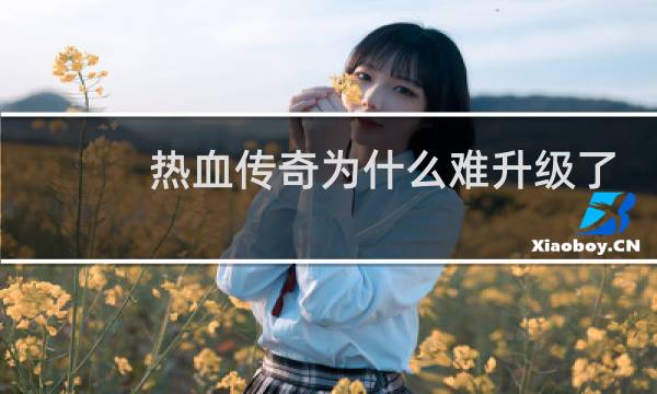 热血传奇为什么难升级了