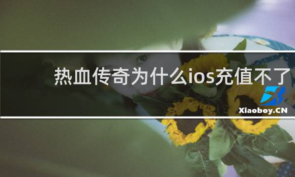 热血传奇为什么ios充值不了