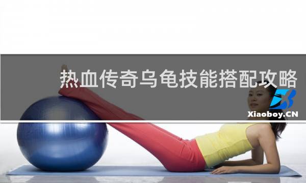 热血传奇乌龟技能搭配攻略