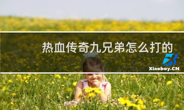 热血传奇九兄弟怎么打的