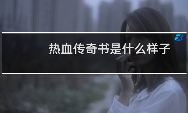 热血传奇书是什么样子