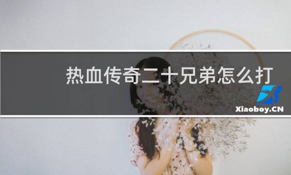热血传奇二十兄弟怎么打