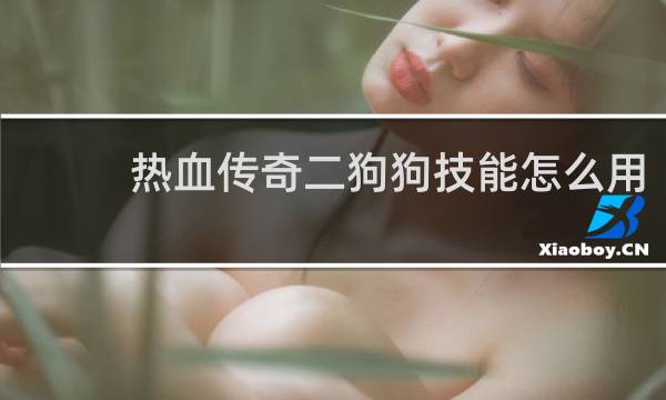热血传奇二狗狗技能怎么用