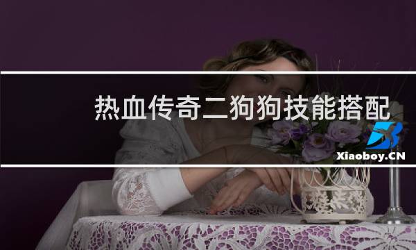 热血传奇二狗狗技能搭配