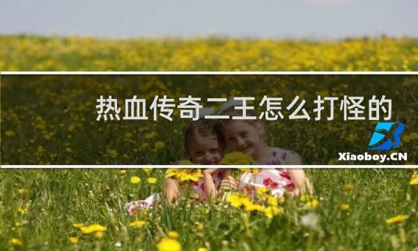 热血传奇二王怎么打怪的