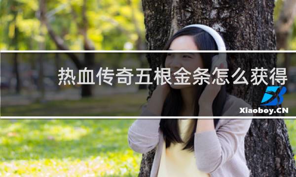 热血传奇五根金条怎么获得