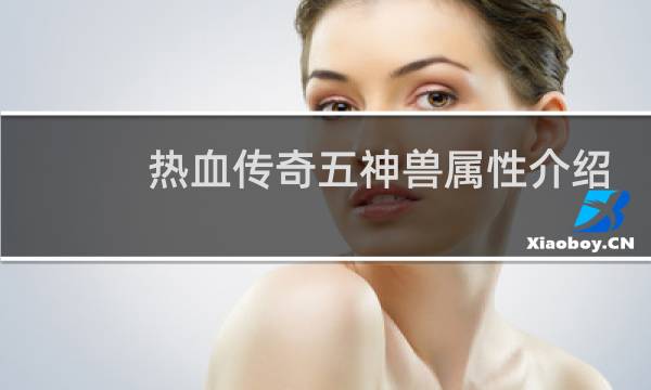 热血传奇五神兽属性介绍