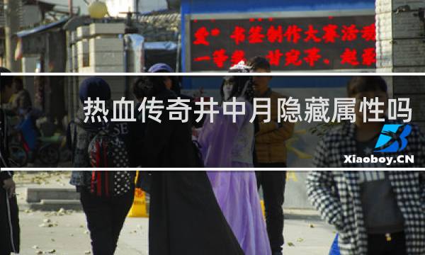 热血传奇井中月隐藏属性吗