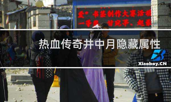 热血传奇井中月隐藏属性