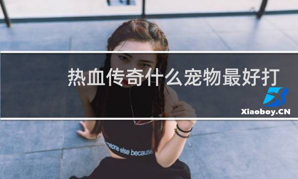 热血传奇什么宠物最好打