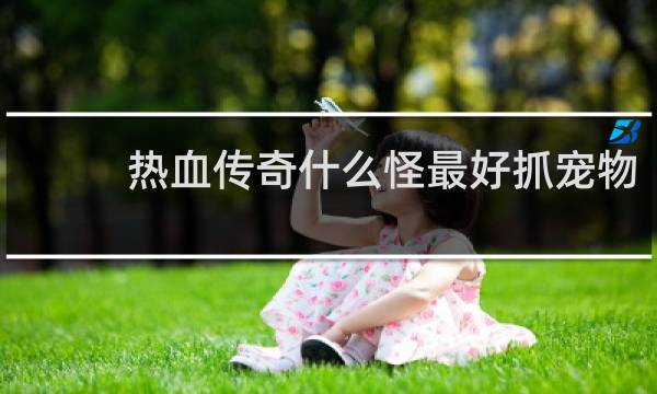 热血传奇什么怪最好抓宠物