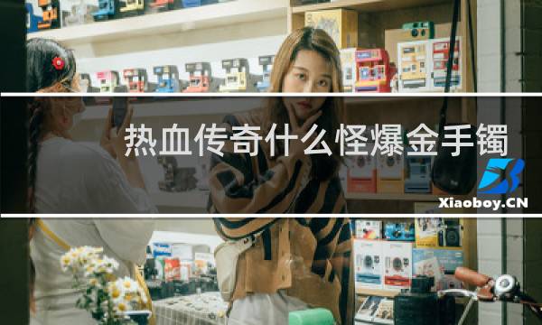 热血传奇什么怪爆金手镯