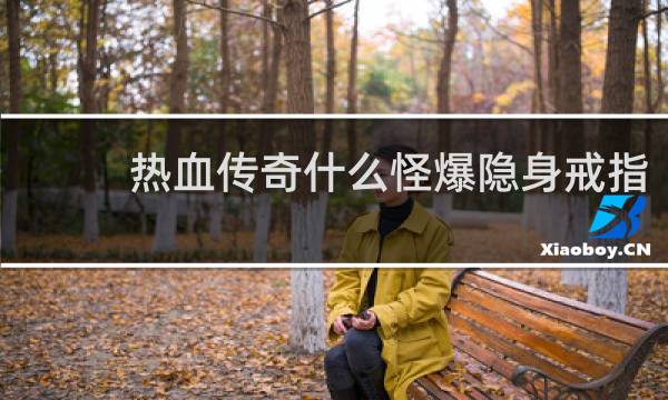 热血传奇什么怪爆隐身戒指