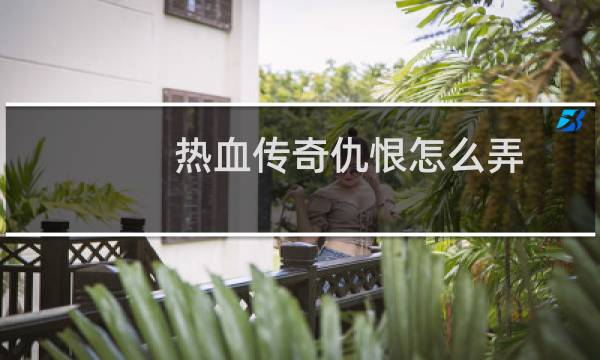 热血传奇仇恨怎么弄
