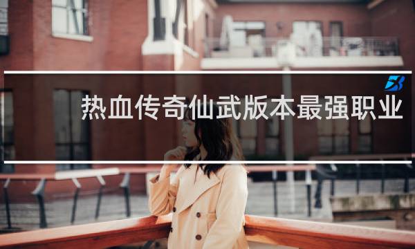 热血传奇仙武版本最强职业
