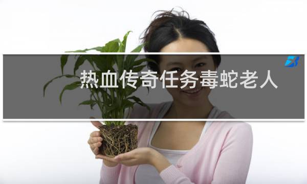 热血传奇任务毒蛇老人