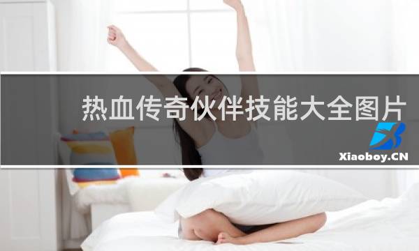 热血传奇伙伴技能大全图片