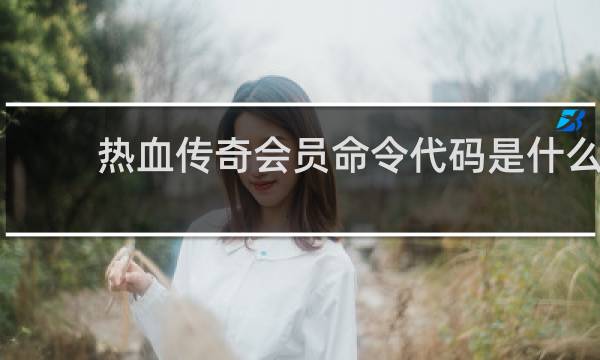 热血传奇会员命令代码是什么
