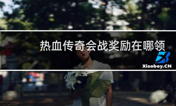 热血传奇会战奖励在哪领
