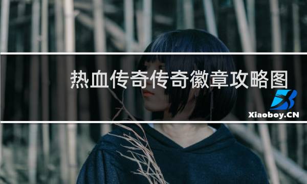 热血传奇传奇徽章攻略图