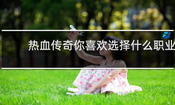 热血传奇你喜欢选择什么职业