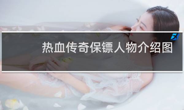 热血传奇保镖人物介绍图