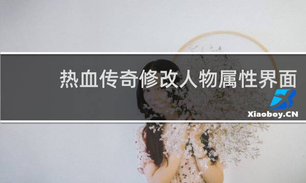 热血传奇修改人物属性界面