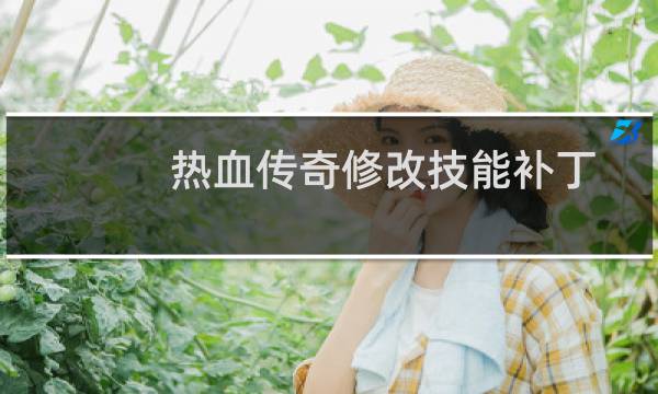 热血传奇修改技能补丁