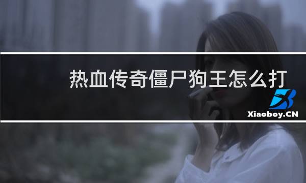 热血传奇僵尸狗王怎么打