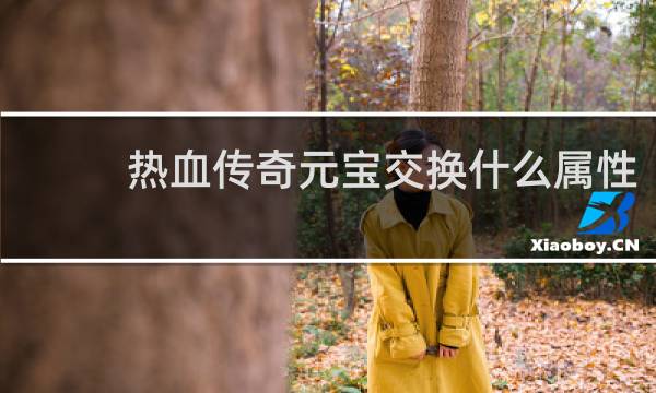热血传奇元宝交换什么属性