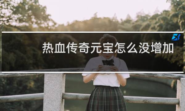 热血传奇元宝怎么没增加