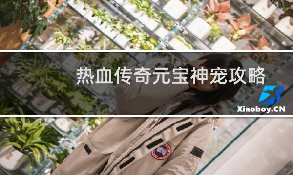 热血传奇元宝神宠攻略
