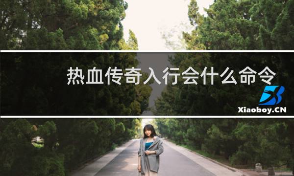 热血传奇入行会什么命令