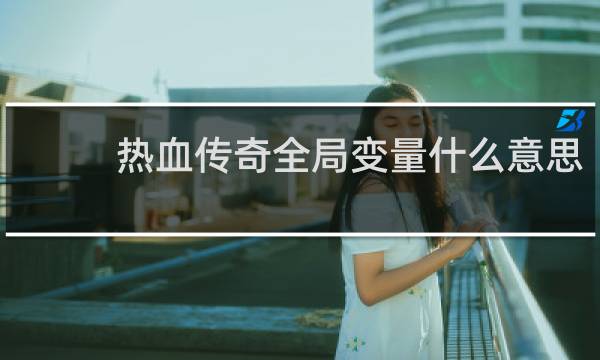 热血传奇全局变量什么意思