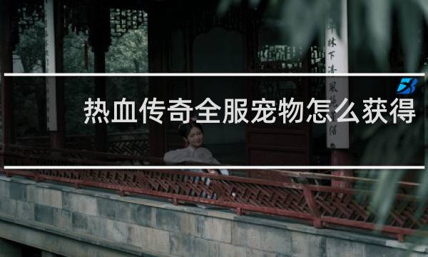热血传奇全服宠物怎么获得