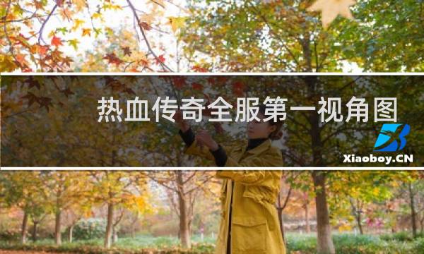 热血传奇全服第一视角图