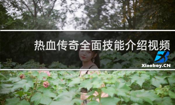 热血传奇全面技能介绍视频
