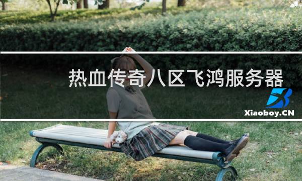 热血传奇八区飞鸿服务器