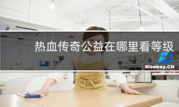 热血传奇公益在哪里看等级
