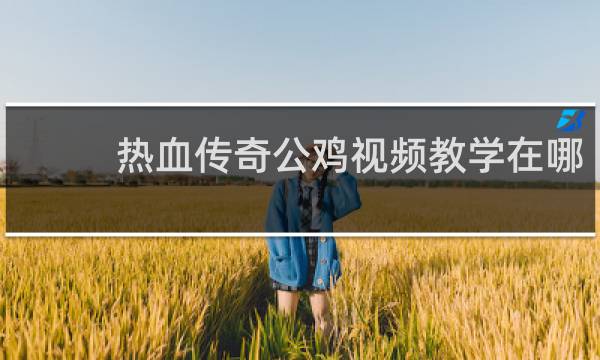 热血传奇公鸡视频教学在哪