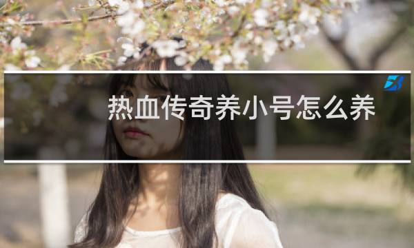热血传奇养小号怎么养