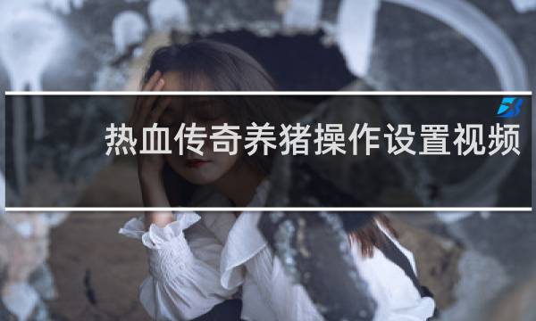 热血传奇养猪操作设置视频