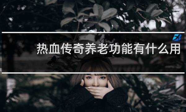 热血传奇养老功能有什么用