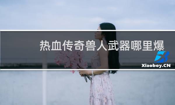 热血传奇兽人武器哪里爆