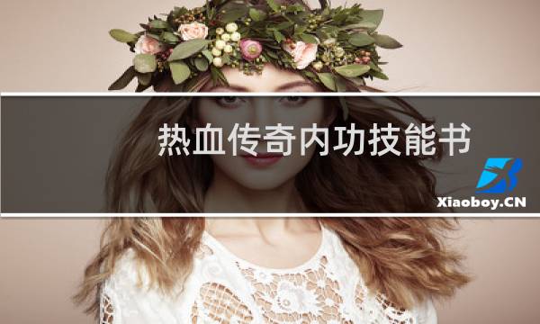 热血传奇内功技能书