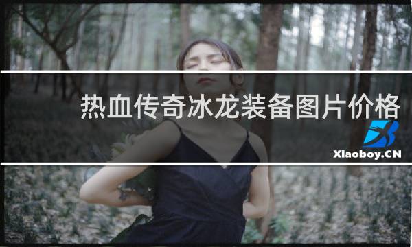 热血传奇冰龙装备图片价格