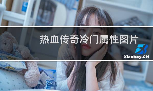 热血传奇冷门属性图片
