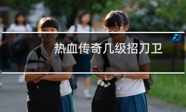 热血传奇几级招刀卫