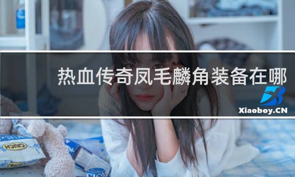 热血传奇凤毛麟角装备在哪