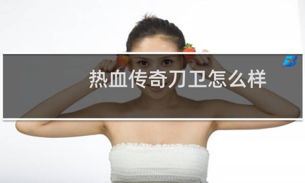 热血传奇刀卫怎么样
